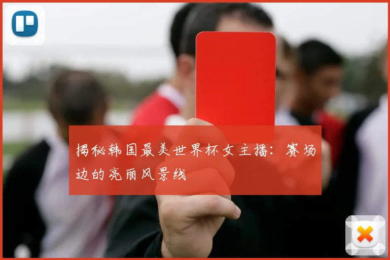 揭秘韩国最美世界杯女主播：赛场边的亮丽风景线