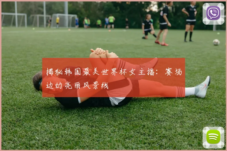 揭秘韩国最美世界杯女主播：赛场边的亮丽风景线