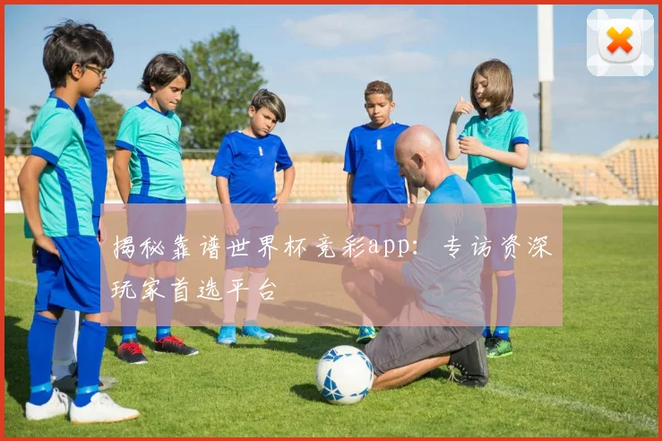 揭秘靠谱世界杯竞彩app：专访资深玩家首选平台