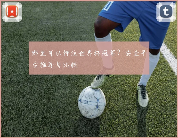 哪里可以押注世界杯冠军？安全平台推荐与比较