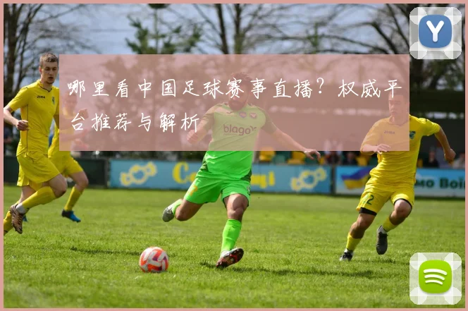 哪里看中国足球赛事直播？权威平台推荐与解析