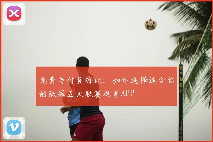 免费与付费对比：如何选择适合你的欧冠五大联赛观看APP