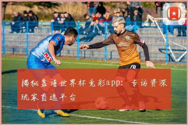 揭秘靠谱世界杯竞彩app：专访资深玩家首选平台