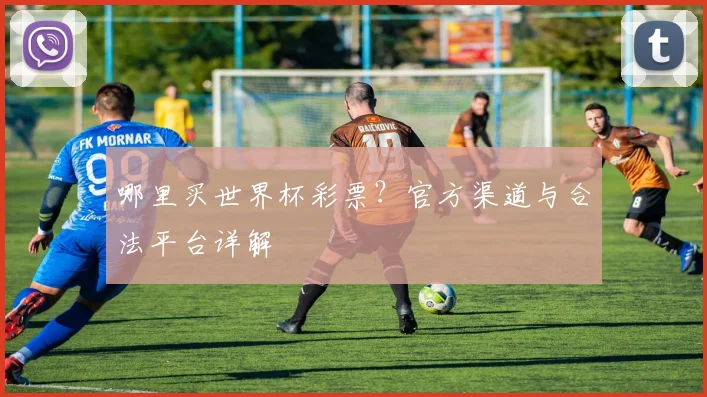 哪里买世界杯彩票？官方渠道与合法平台详解