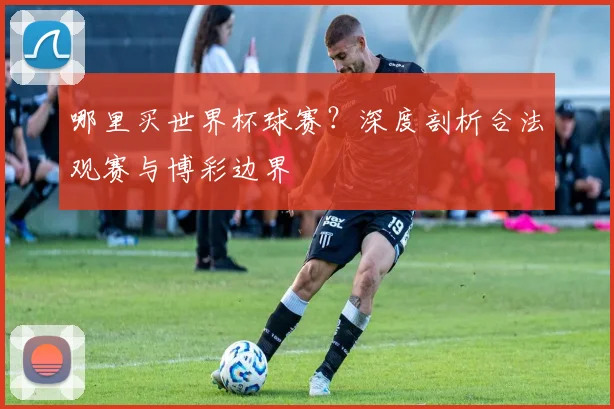 哪里买世界杯球赛？深度剖析合法观赛与博彩边界