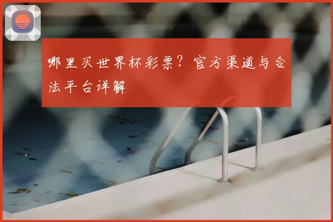 哪里买世界杯彩票？官方渠道与合法平台详解